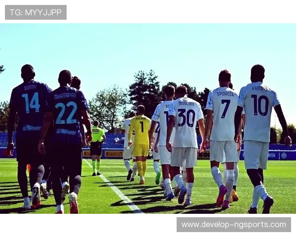 佛罗伦萨俱乐部最新动态揭示球队未来发展方向与转会策略