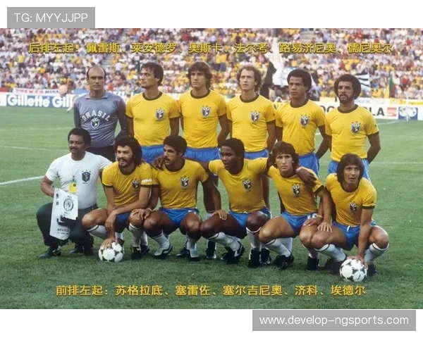 巴西世界杯回顾与分析：足球盛宴中的传奇瞬间与未解之谜